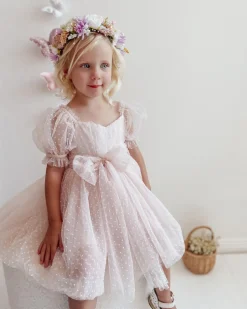 Fairy Wonderland Pastel Pink Girls Party Dress