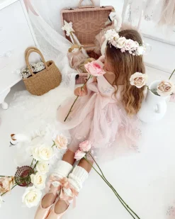 Sleeping Beauty Ballerina Pink Girls Party Dress