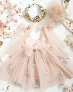 Sleeping Beauty Ballerina Pink Girls Party Dress